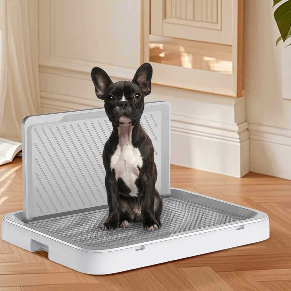 Dog Potty Tray with Pee Wall T - Sprinkler Splash Pad ulasan dan harga